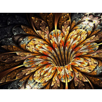 Золотые лепестки цветка сверкают каплями росы