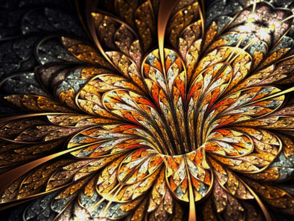 Золотые лепестки цветка сверкают каплями росы