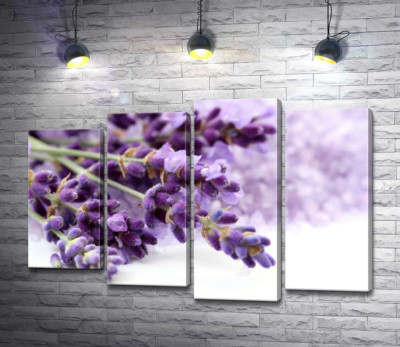 Маленькі пахучі квіти лаванди