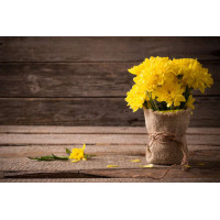 Чепурний мішечок жовтих хризантем