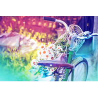 Літній букет ромашок у корзині старого велосипеда