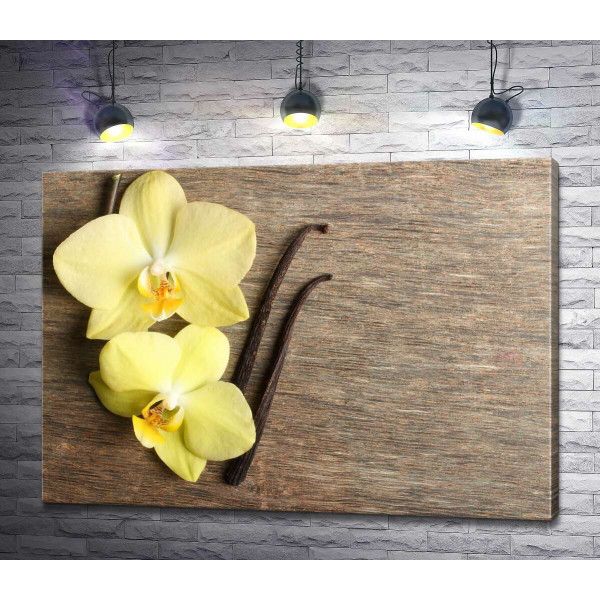 Желтые орхидеи среди стручков ванили