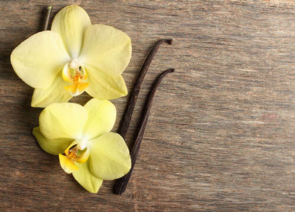 Желтые орхидеи среди стручков ванили