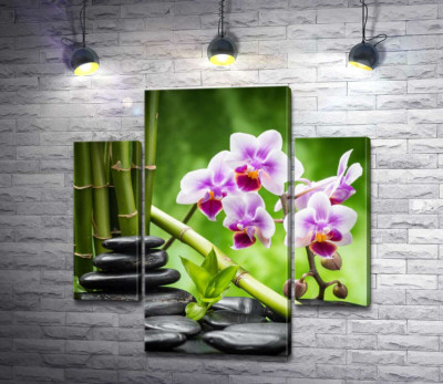 Модульна картина "Заспокоєння природою: чорне каміння поряд з орхідеєю та бамбуком"