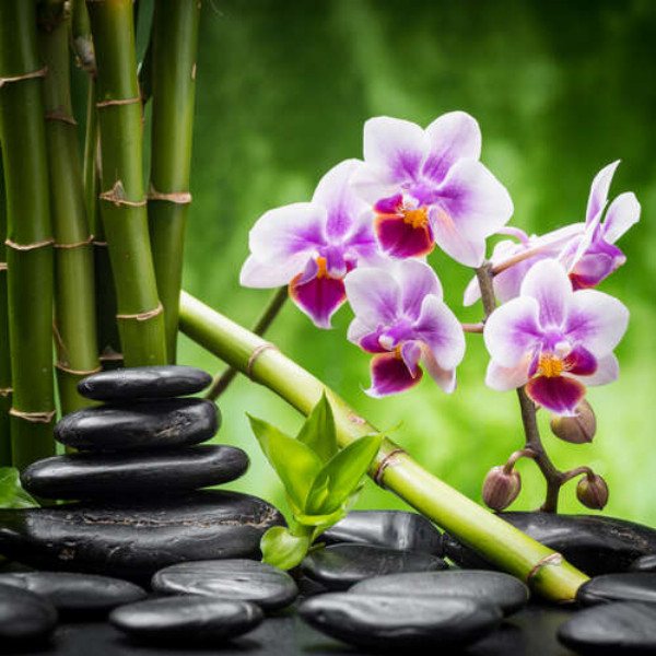 Заспокоєння природою: чорне каміння поряд з орхідеєю та бамбуком
