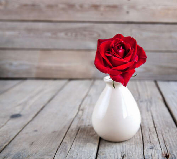 Маленька червона троянда у гладенькій білій вазі