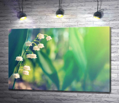 Білі бісерини квітів на зеленому стеблі конвалії