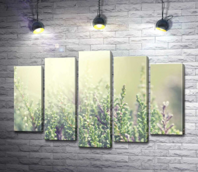 Модульная картина "Маленькие зеленые веточки вереска"