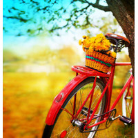 Весенняя корзина с одуванчиками стоит на красном велосипеде