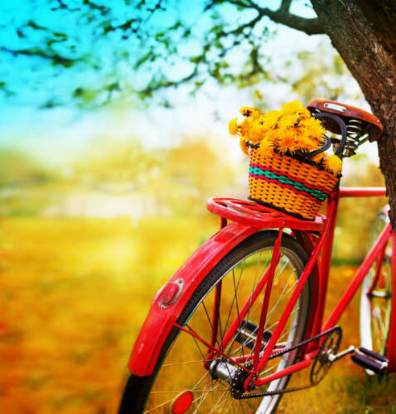 Весенняя корзина с одуванчиками стоит на красном велосипеде
