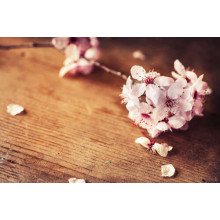 Квітуча гілочка рожевої сакури лежить на столі