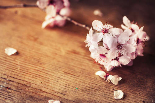 Квітуча гілочка рожевої сакури лежить на столі