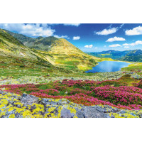 Цветущий летний склон ведет к горному озеру