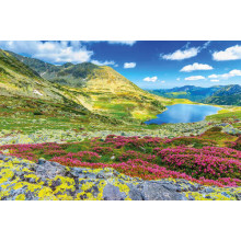 Цветущий летний склон ведет к горному озеру