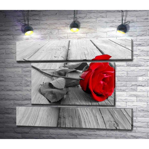 Стройный цветок красной розы лежит на деревянном столе