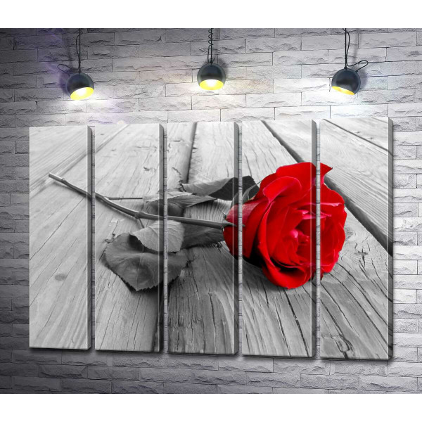 Стройный цветок красной розы лежит на деревянном столе