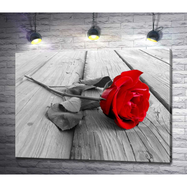 Струнка квітка червоної троянди лежить на дерев'яному столі