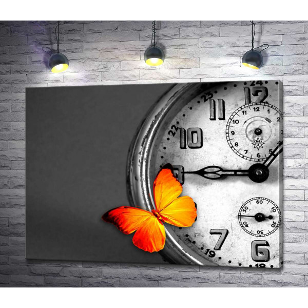 Помаранчевий метелик відпочиває на вінтажному годиннику