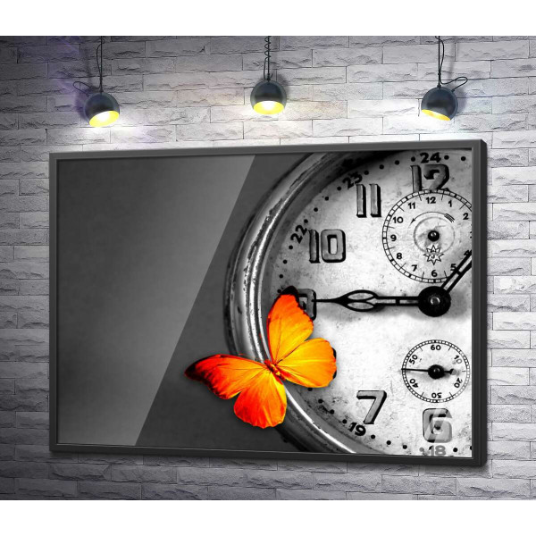 Помаранчевий метелик відпочиває на вінтажному годиннику