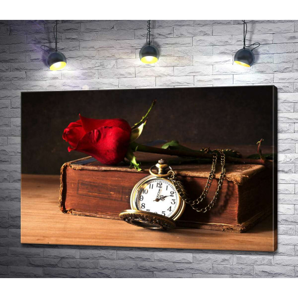 Старинная книга украшена карманными часами и бутоном розы