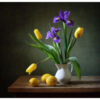 Весенняя свежесть ирисов и тюльпанов в вазе возле желтобоких лимонов
