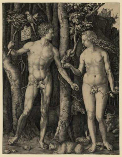 Адам и Ева (Adam and Eve) – Альбрехт Дюрер (Albrecht Durer)