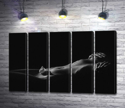 Модульная картина "Нежный тюльпан лежит на соблазнительных изгибах женского живота"
