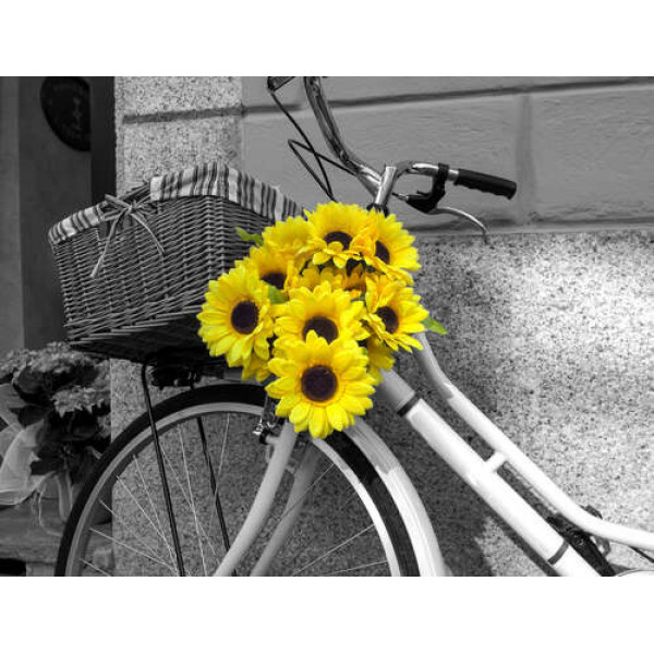 Сяючі соняшники прикрашають руль велосипеда