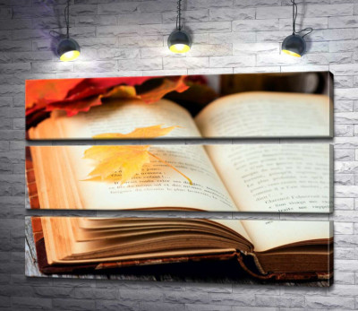 Желтый кленовый листик лежит на странице книги