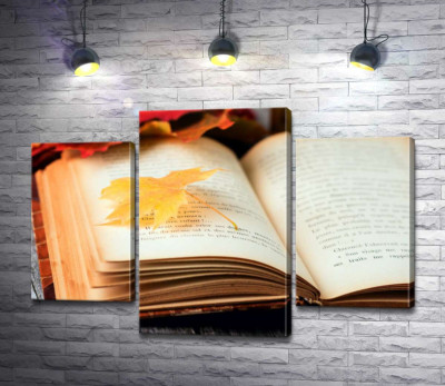 Модульная картина "Желтый кленовый листик лежит на странице книги"