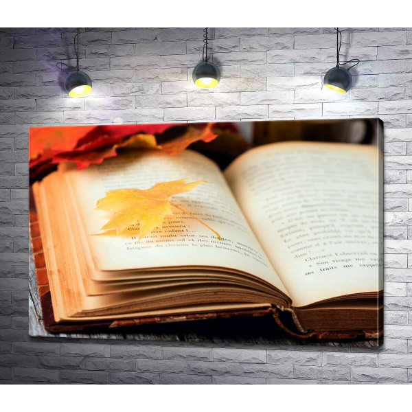 Жовтий кленовий листочок лежить на сторінці книги