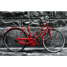 Красный велосипед ждет владельца у стены дома