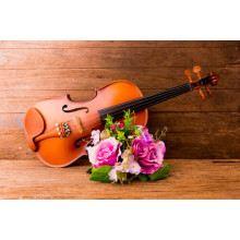 Вишукані вигини скрипки прикрашені букетом троянд