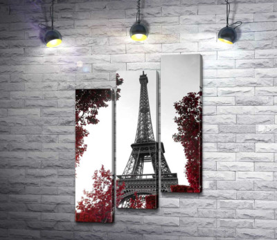Пламя осенних листьев вокруг Эйфелевой башни (Eiffel tower)