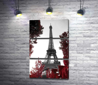Полум'я осіннього листя навколо  Ейфелевої вежі (Eiffel tower)