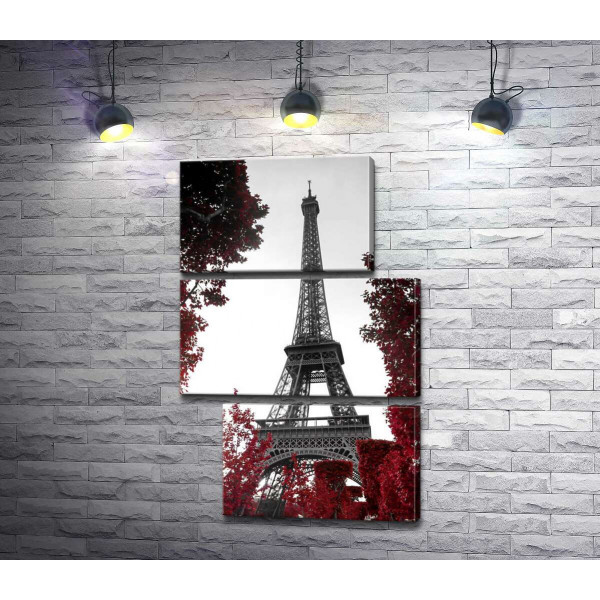 Полум'я осіннього листя навколо  Ейфелевої вежі (Eiffel tower)