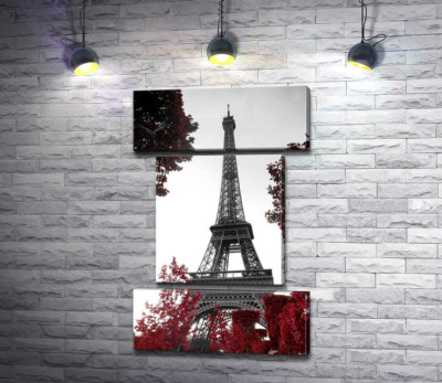 Пламя осенних листьев вокруг Эйфелевой башни (Eiffel tower)