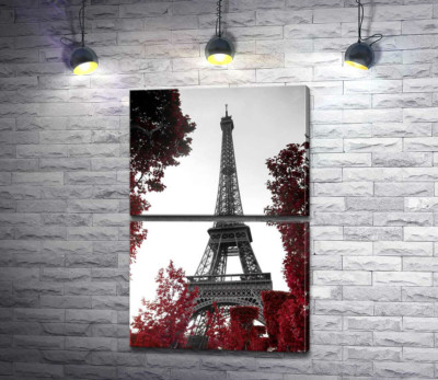 Полум'я осіннього листя навколо  Ейфелевої вежі (Eiffel tower)