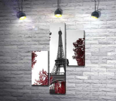 Пламя осенних листьев вокруг Эйфелевой башни (Eiffel tower)