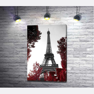 Пламя осенних листьев вокруг Эйфелевой башни (Eiffel tower)