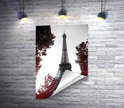 Полум'я осіннього листя навколо  Ейфелевої вежі (Eiffel tower)