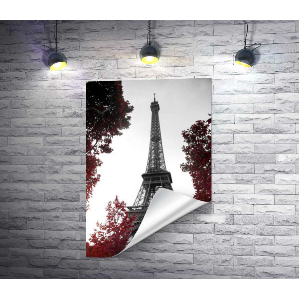 Полум'я осіннього листя навколо  Ейфелевої вежі (Eiffel tower)