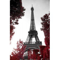 Пламя осенних листьев вокруг Эйфелевой башни (Eiffel tower)