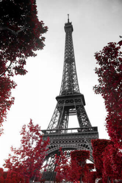 Пламя осенних листьев вокруг Эйфелевой башни (Eiffel tower)