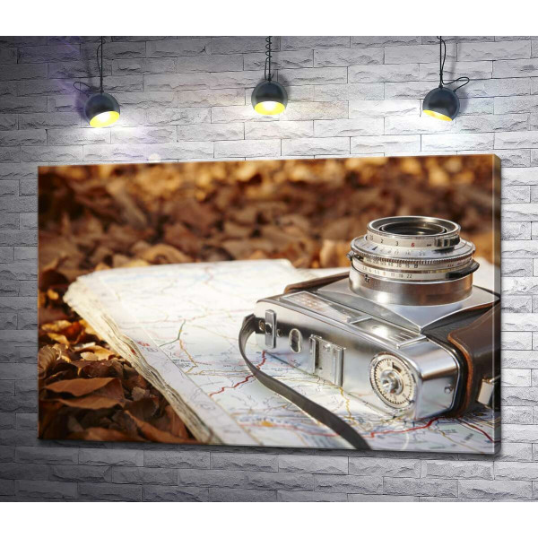 Карта и фотоаппарат на желтом ковре из сухих листьев
