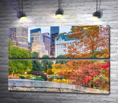 Модульна картина "Багатство кольорів осені у Центральному парку (Central park)"