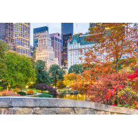 Обилие цветов осени в Центральном парке (Central park)