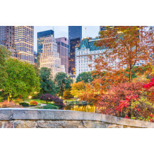 Багатство кольорів осені у Центральному парку (Central park)