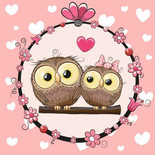 Влюбленные совы в рамке, украшенной розовыми цветами