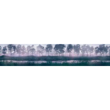 Темные силуэты деревьев на туманном берегу реки